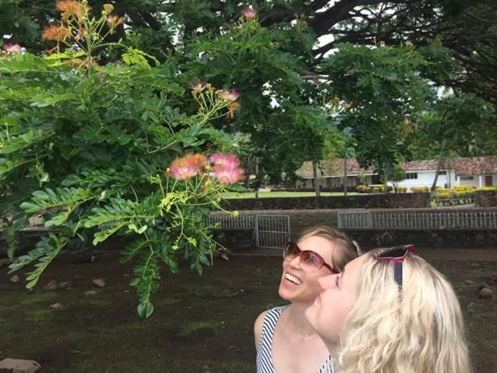 پانسیون Hostal La Cascada