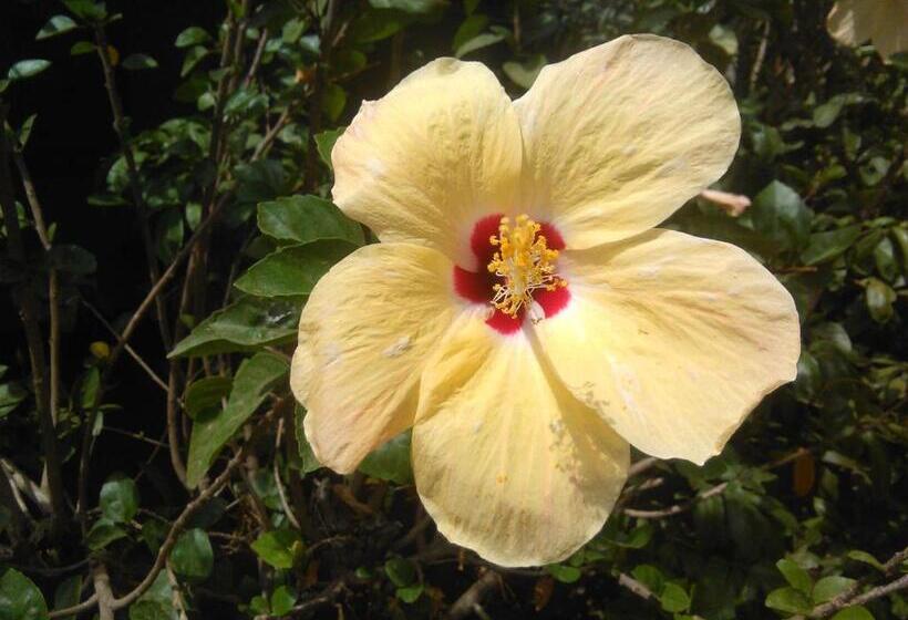 پانسیون Hostal La Cascada