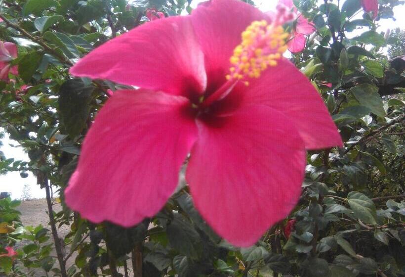 پانسیون Hostal La Cascada