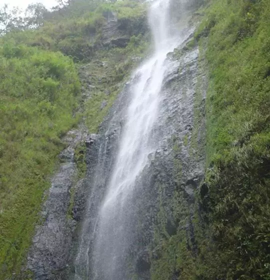 ペンション Hostal La Cascada