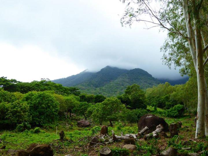 پانسیون Hostal La Cascada