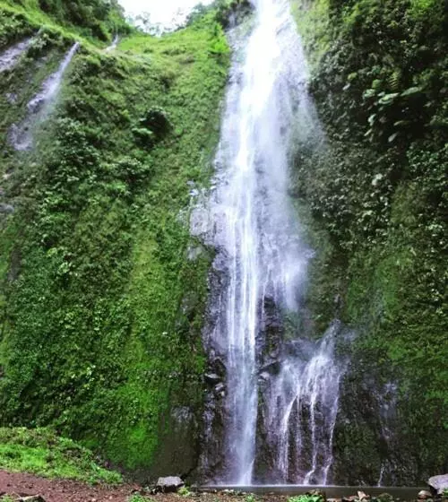 ペンション Hostal La Cascada
