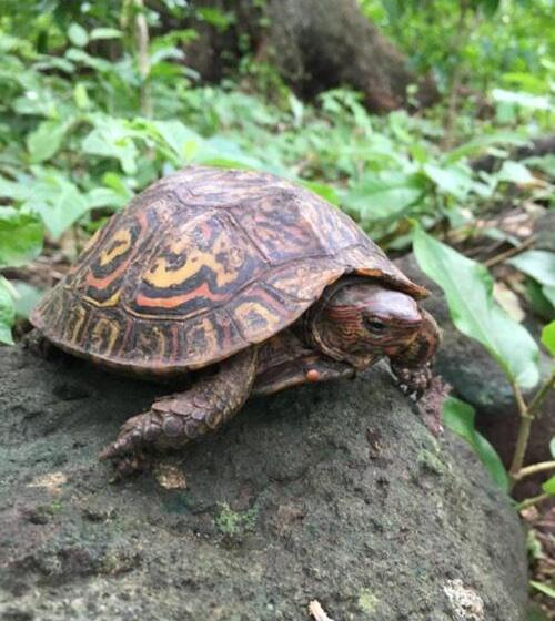 پانسیون Hostal La Cascada