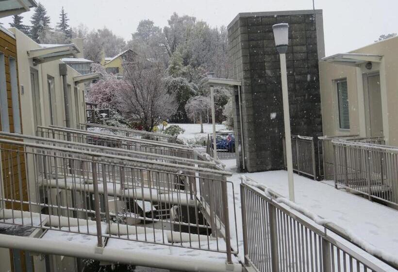 Belvedere Apartments