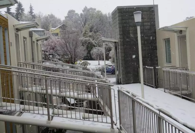 Belvedere Apartments