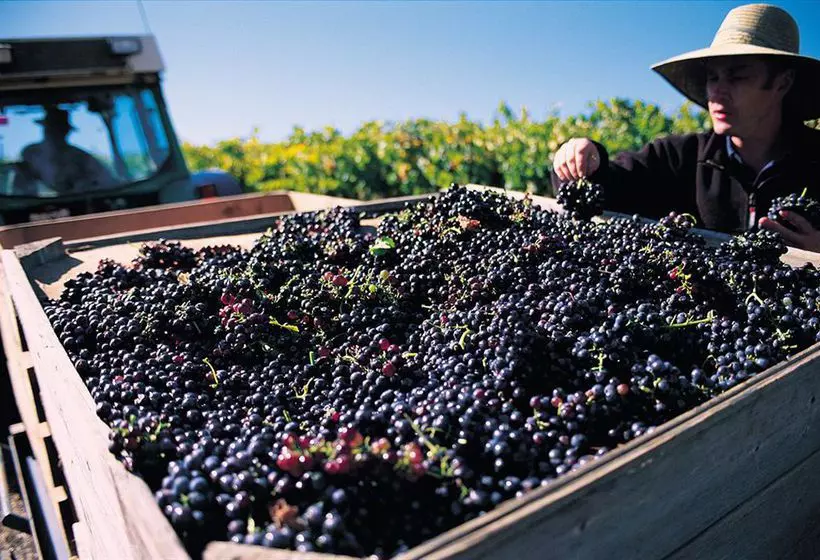 Abbotsford Country House Barossa Valley