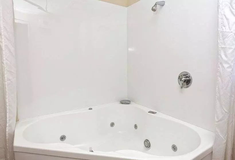 Отель Bk's Rotorua Motor Lodge