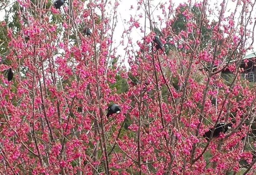 호텔 Colleith Lodge