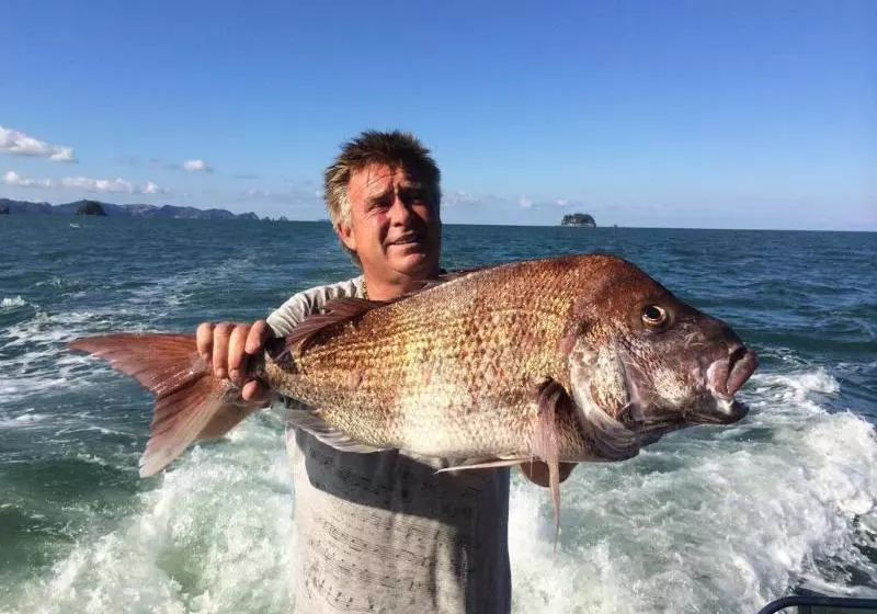 Marina Park Apartments