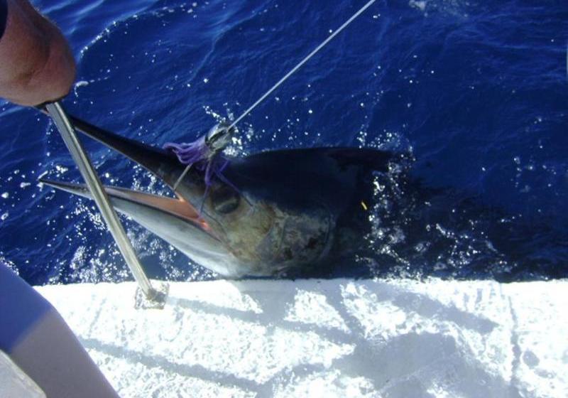 Marina Park Apartments