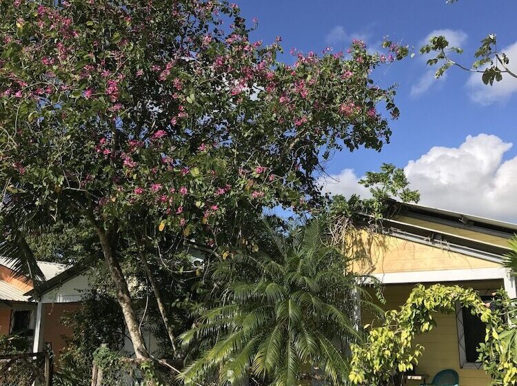 هتل Cheers Cabañas