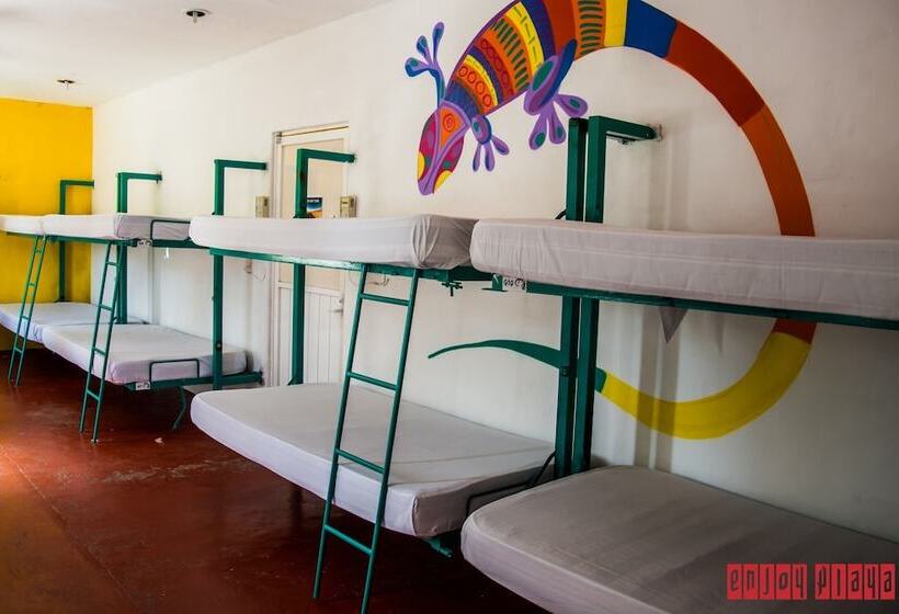 هتل Enjoy Playa Hostel