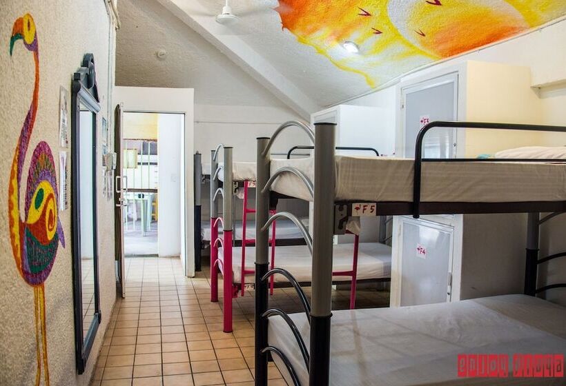 هتل Enjoy Playa Hostel