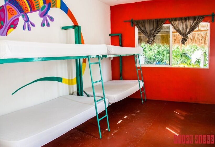 هتل Enjoy Playa Hostel