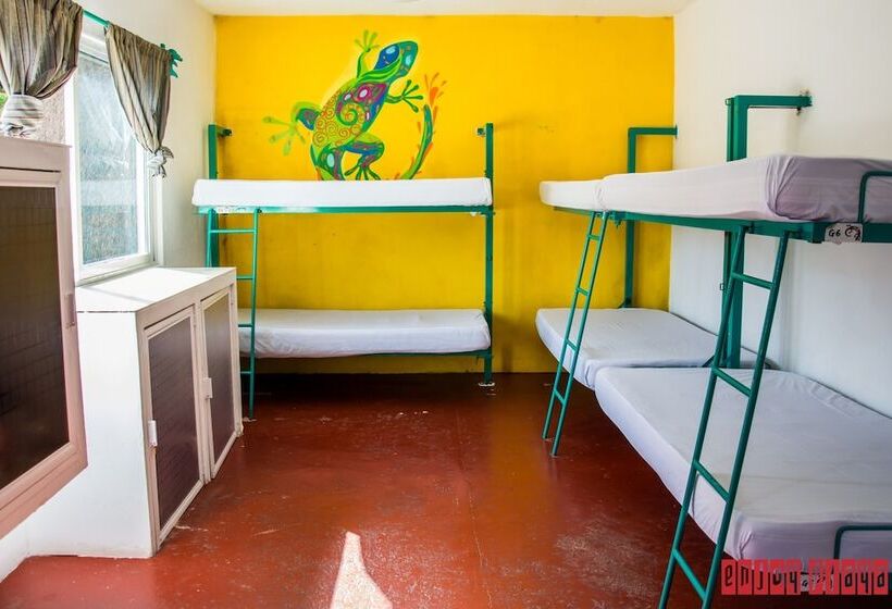 هتل Enjoy Playa Hostel