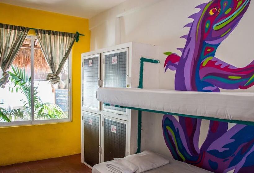 هتل Enjoy Playa Hostel