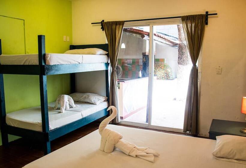 هتل Enjoy Playa Hostel