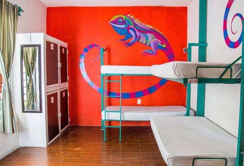 هتل Enjoy Playa Hostel