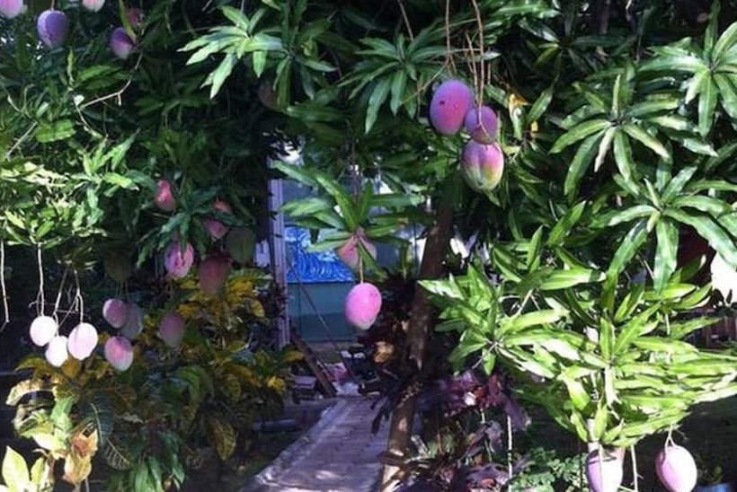 فندق Cabinas Marielos