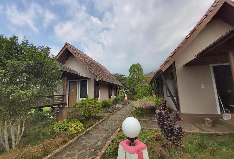 בית מלון כפרי Degung Hillside