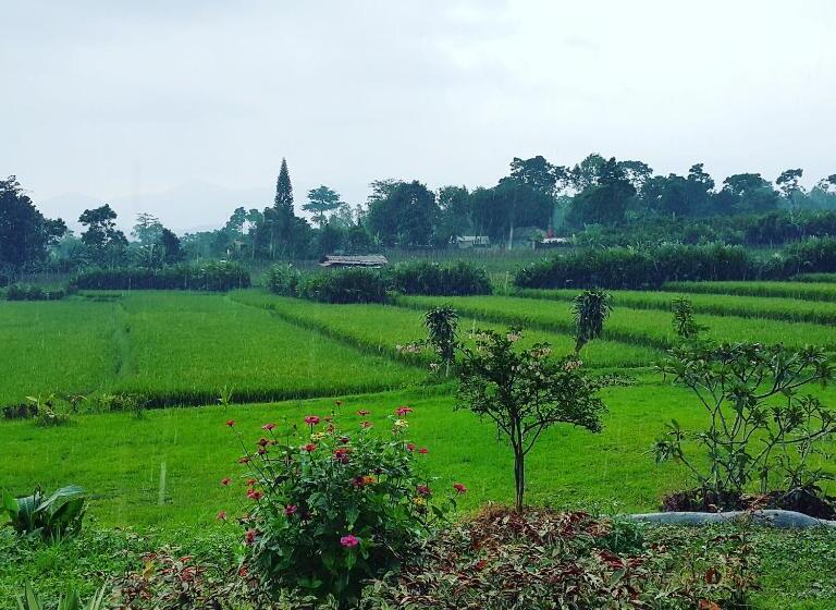 בית מלון כפרי Degung Hillside