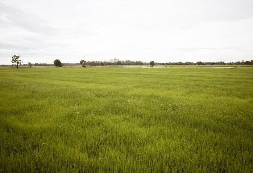 בית מלון כפרי Onesook Resort Sukhothai