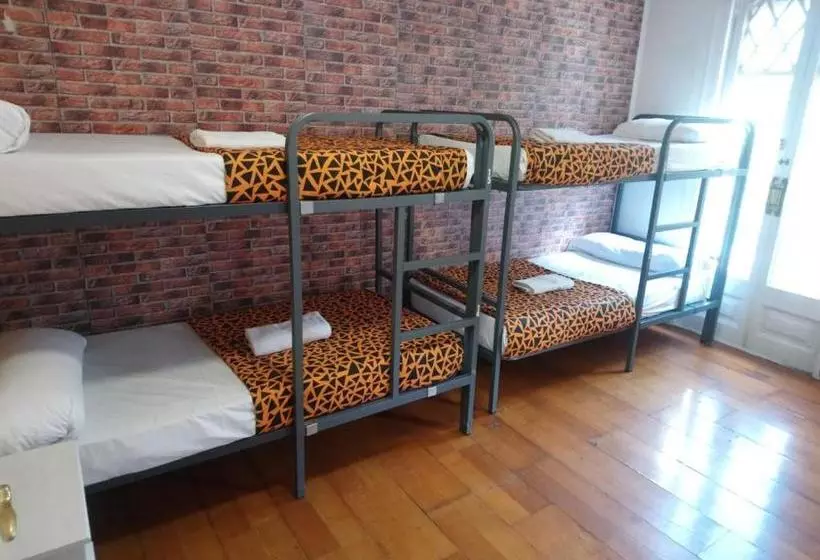 Diagonal House Hostel