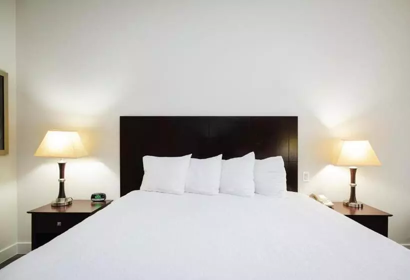 ホテル Best Western Sugar Land   Richmond