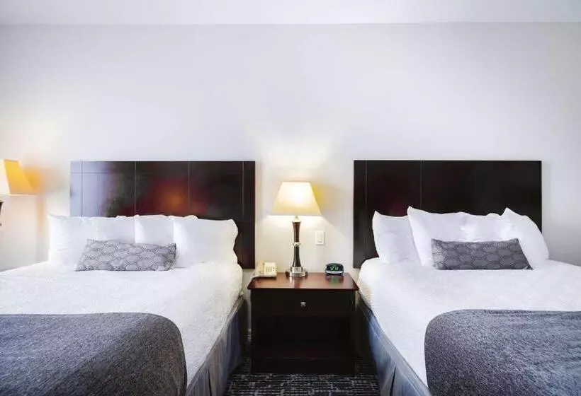 ホテル Best Western Sugar Land   Richmond