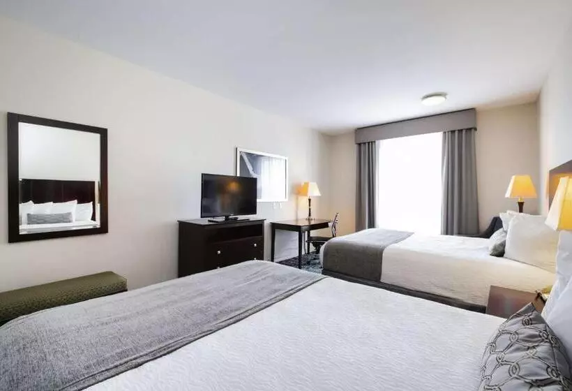 ホテル Best Western Sugar Land   Richmond