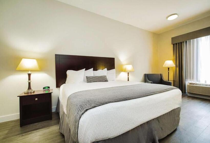 Отель Best Western Sugar Land   Richmond