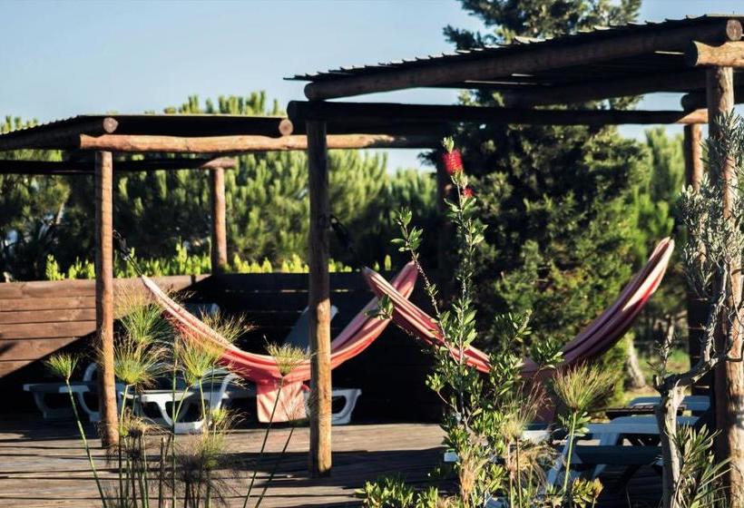 בית מלון כפרי Cerca Do Sul