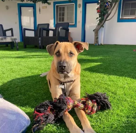 فندق Villa Berlenga