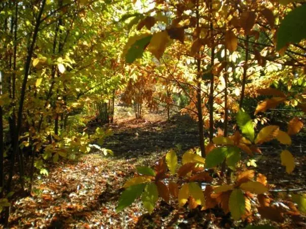 Puerto Roque Turismo Rural