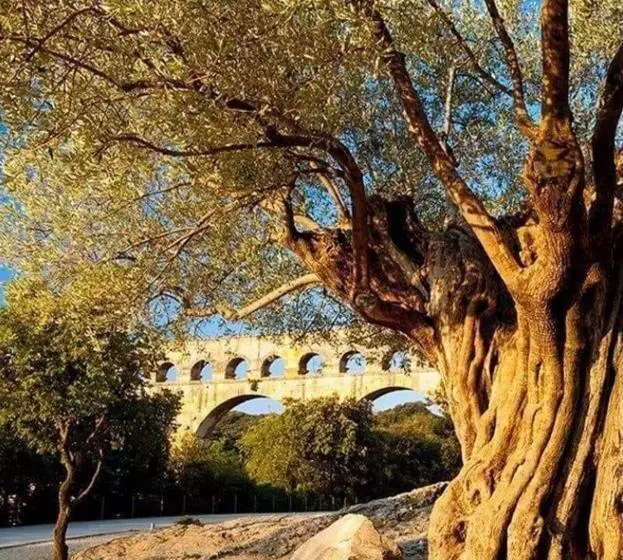 Aamiaismajoitus (B&B) Suite Spa Accès Autonome