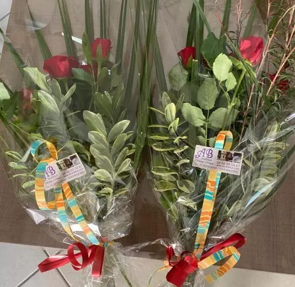 Aamiaismajoitus (B&B) Suite Spa Accès Autonome