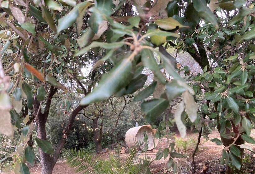 צימר Les Horizons 800m Centre Ville Nyons Piscine Chauffée