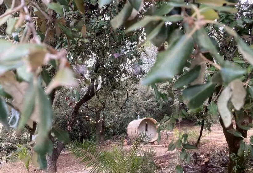 ベッドアンドブレックファースト Les Horizons 800m Centre Ville Nyons Piscine Chauffée