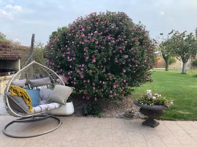 ペンション Domaine Les Bois Flottes Dans Maison De Charme Au Bord De Mer Et Proche De Cabourg