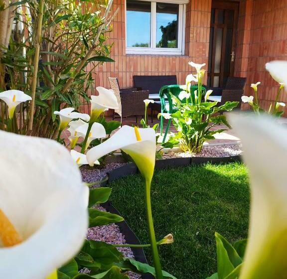 פנסיון Riba D Aude