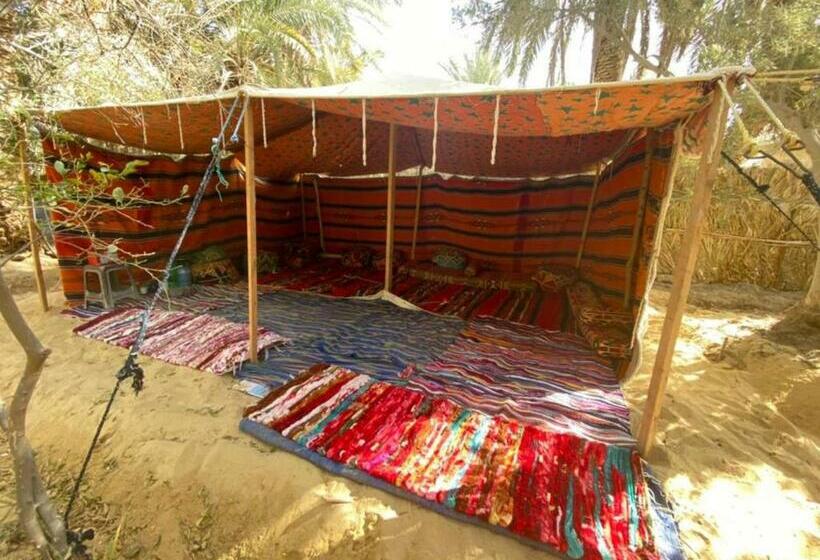 هاستل Olive Garden House Siwa