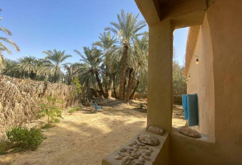 هاستل Olive Garden House Siwa