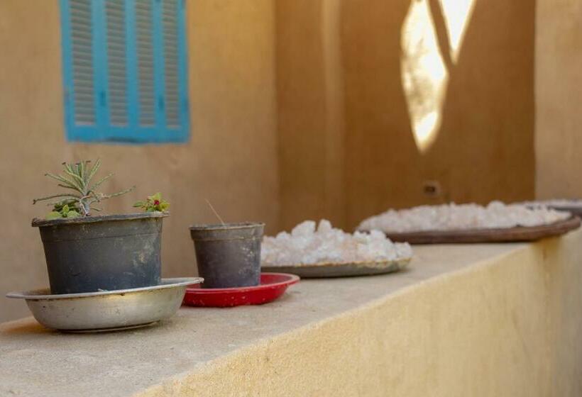 هاستل Olive Garden House Siwa