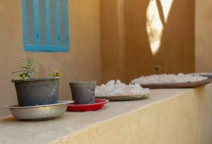 هاستل Olive Garden House Siwa