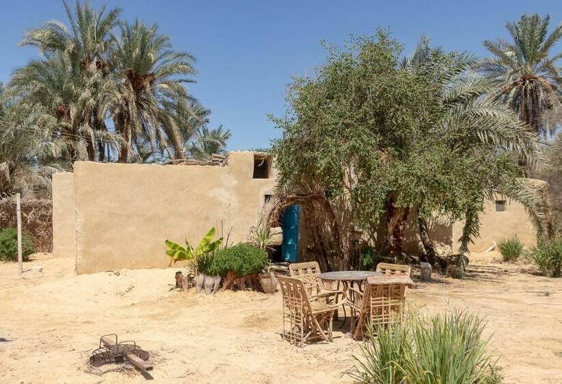 هاستل Olive Garden House Siwa