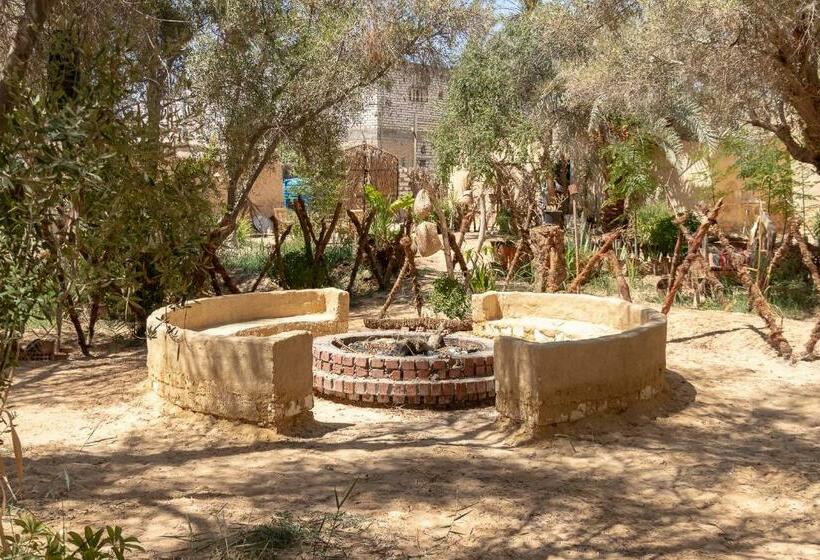 هاستل Olive Garden House Siwa