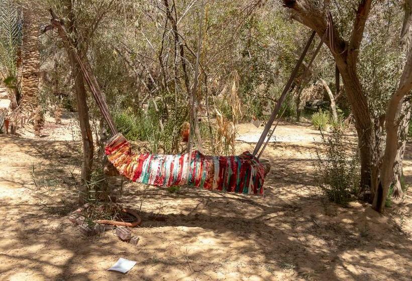 هاستل Olive Garden House Siwa