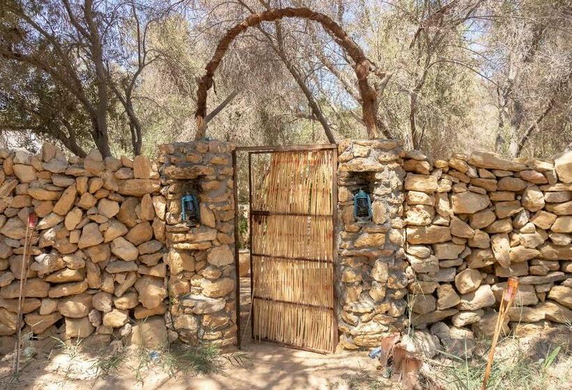 هاستل Olive Garden House Siwa