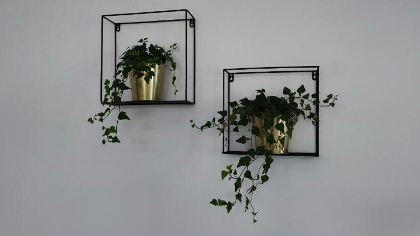 ベッドアンドブレックファースト Klein Java