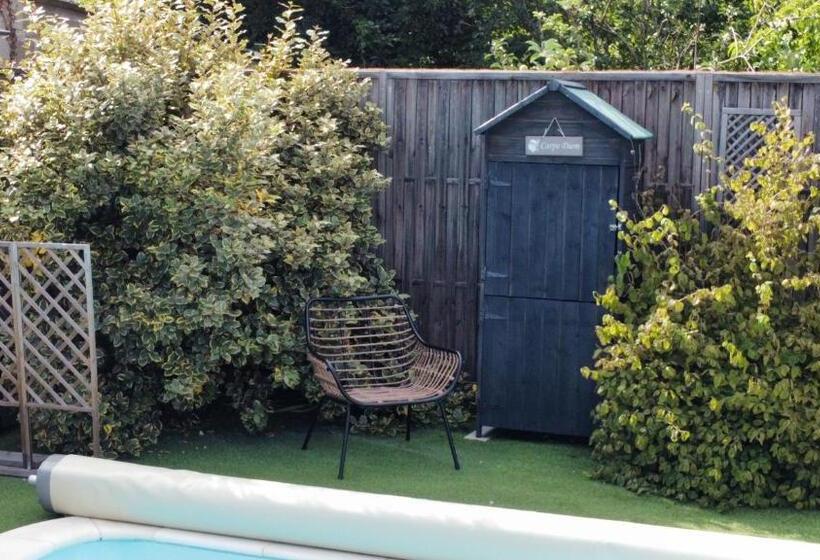 بنسيون Choupy’cosy